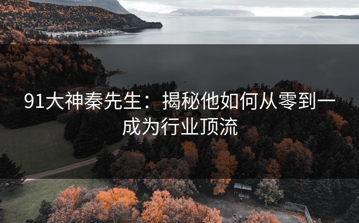91大神秦先生：揭秘他如何从零到一成为行业顶流