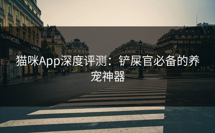 猫咪App深度评测：铲屎官必备的养宠神器