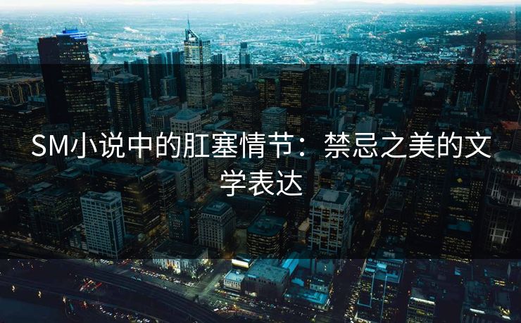 SM小说中的肛塞情节：禁忌之美的文学表达